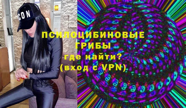 трава Аркадак