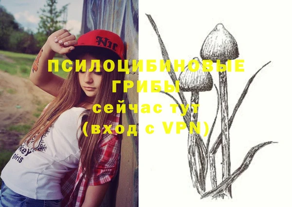 трава Аркадак