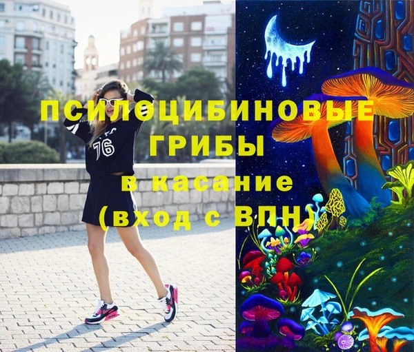 трава Аркадак