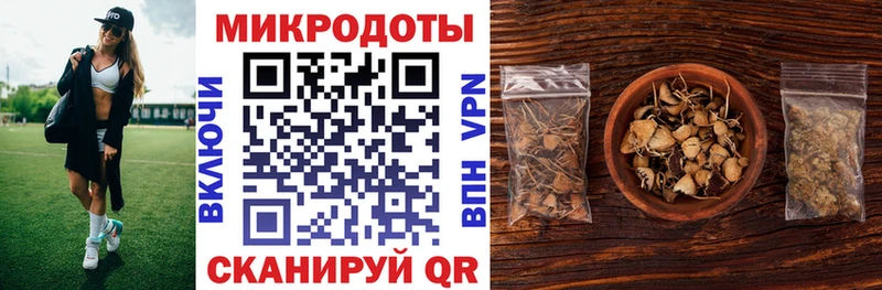 Псилоцибиновые грибы Psilocybe  даркнет сайт  MEGA ссылка  Шебекино 